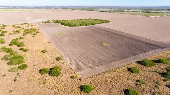 80 Acres of Recreational Land & Farm for Sale in Kingsville, Texas