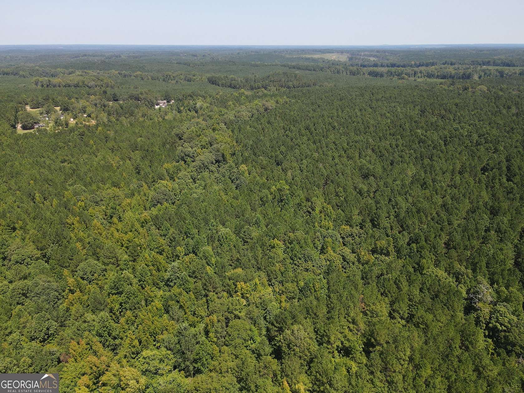 42.35 Acres of Land for Sale in Union Point, Georgia