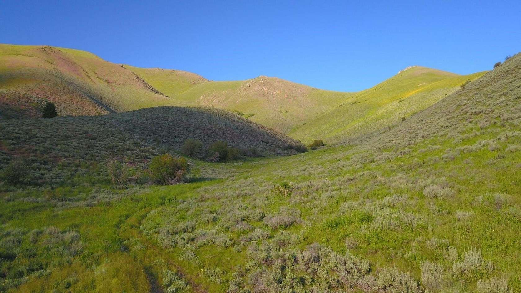 140 Acres of Land for Sale in Hailey, Idaho