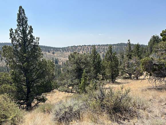 80 Acres of Recreational Land for Sale in Prineville, Oregon