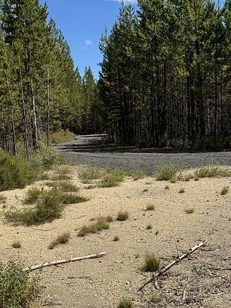 1 Acre of Residential Land for Sale in Crescent Lake, Oregon