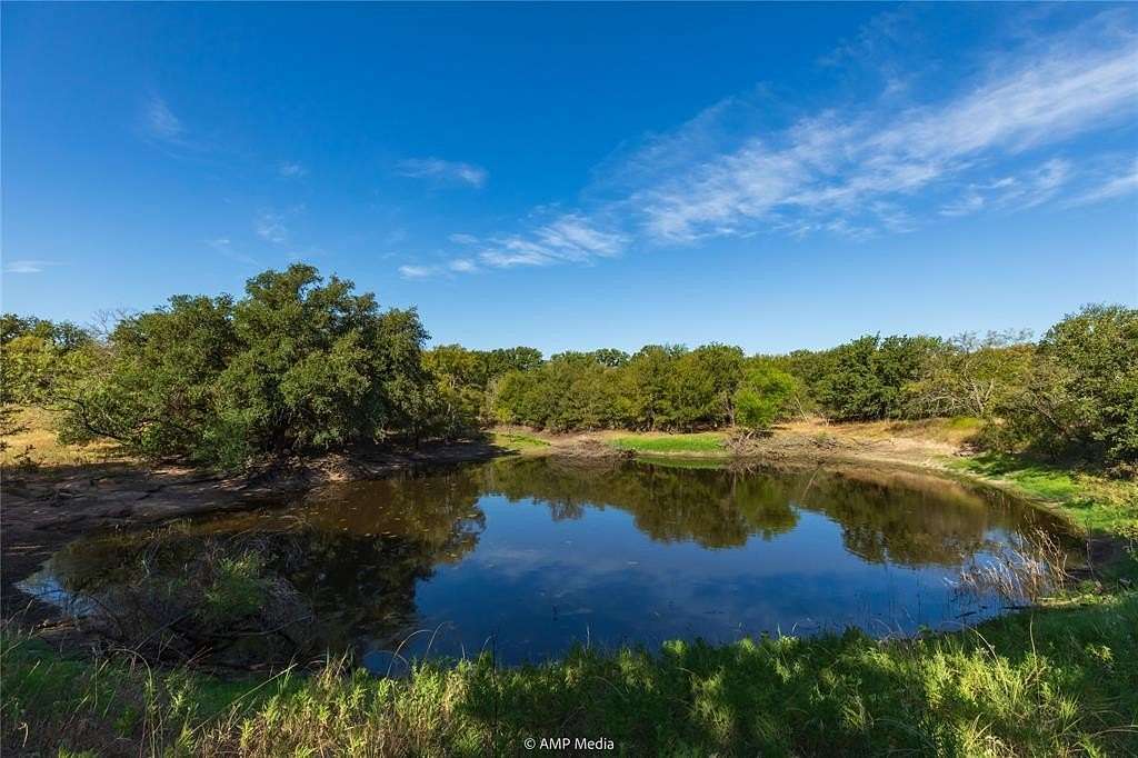 81.265 Acres of Recreational Land & Farm for Sale in Desdemona, Texas