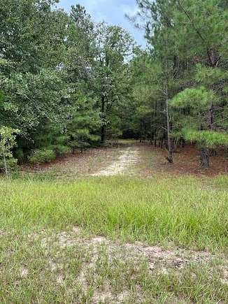 4.66 Acres of Residential Land for Sale in Windsor, South Carolina