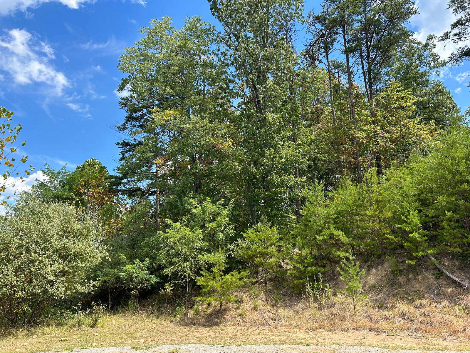 1.82 Acres of Land for Auction in Barboursville, West Virginia