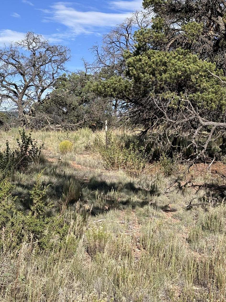 4.13 Acres of Land for Sale in Datil, New Mexico