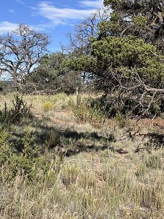 4.13 Acres of Land for Sale in Datil, New Mexico
