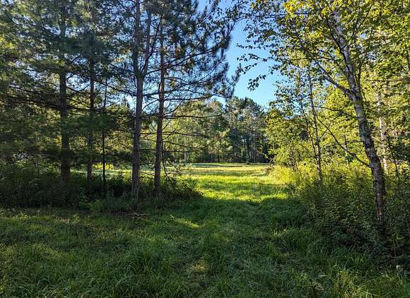 38.842 Acres of Land for Sale in Phillips, Wisconsin