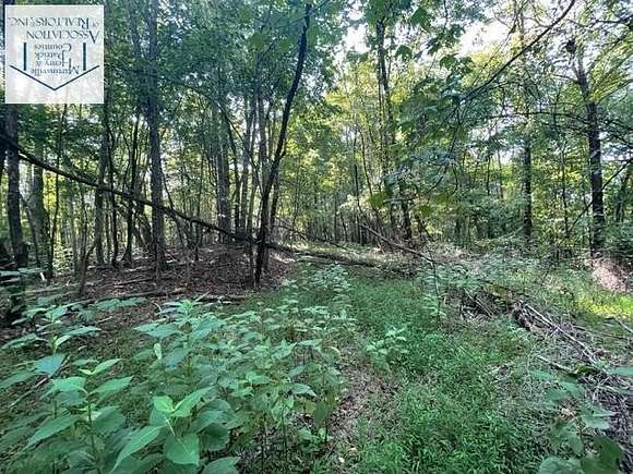 3.72 Acres of Land for Sale in Martinsville, Virginia