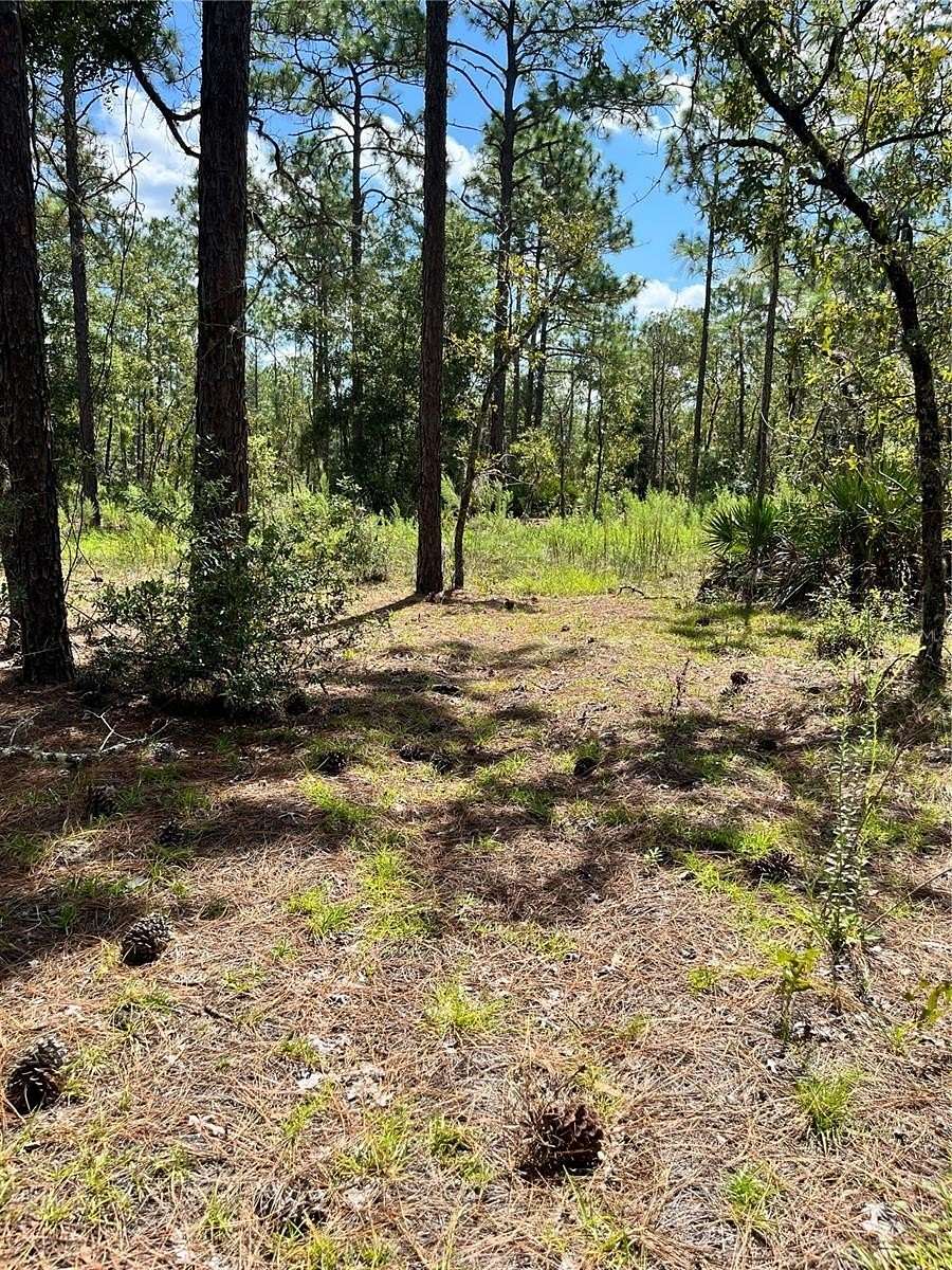 0.25 Acres of Residential Land for Sale in Ocala, Florida