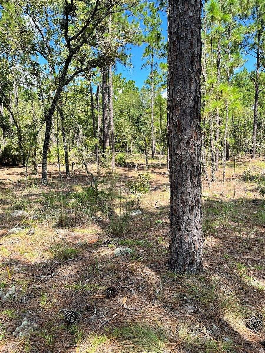 0.25 Acres of Residential Land for Sale in Ocala, Florida