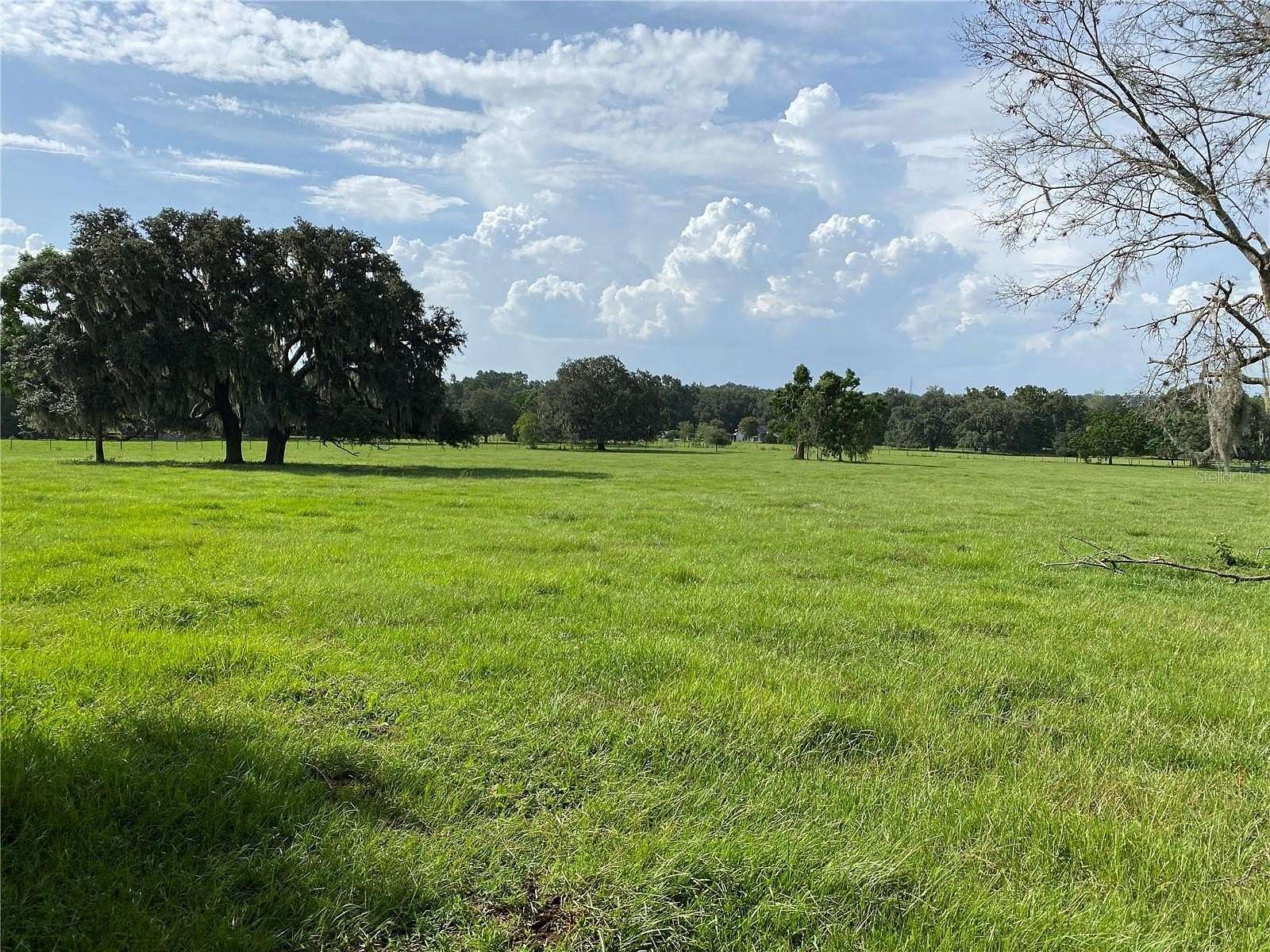 18.99 Acres of Land for Sale in Dade City, Florida