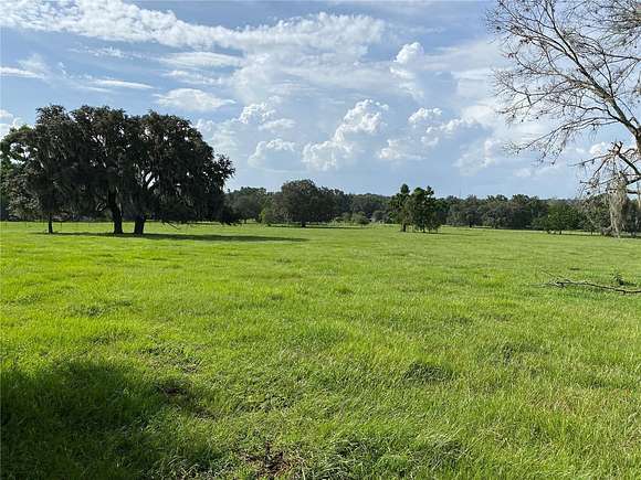 18.99 Acres of Land for Sale in Dade City, Florida