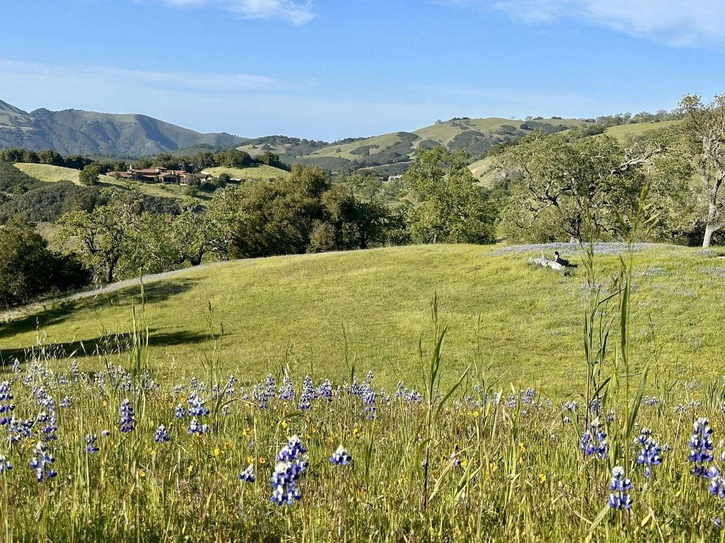 18.2 Acres of Land for Sale in Carmel-by-the-Sea, California