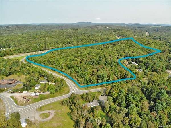22 Acres of Mixed-Use Land for Sale in Harris, New York