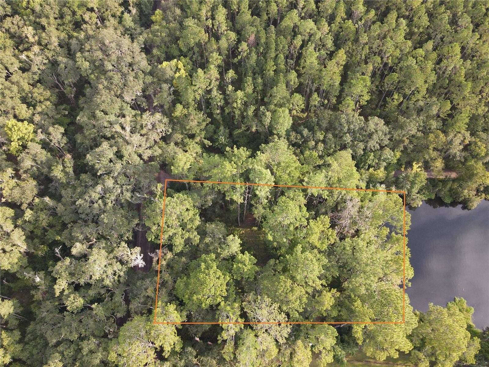 0.75 Acres of Residential Land for Sale in Micanopy, Florida