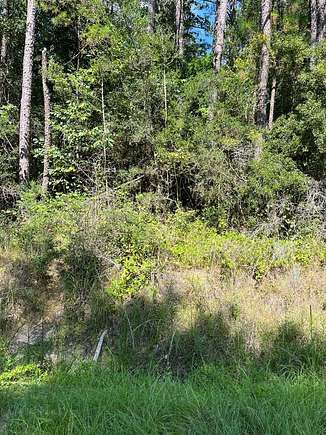 13.707 Acres of Land for Sale in Poplarville, Mississippi