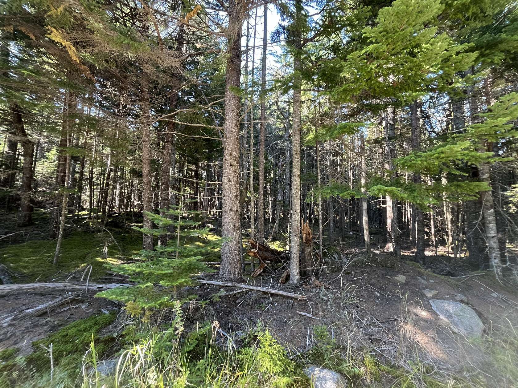 1.8 Acres of Residential Land for Sale in Roque Bluffs, Maine