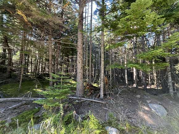 1.8 Acres of Residential Land for Sale in Roque Bluffs, Maine