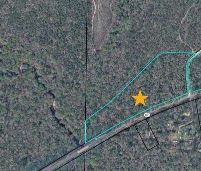 13 Acres of Recreational Land for Sale in Bainbridge, Georgia