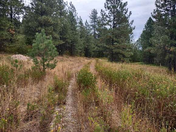 2.55 Acres of Residential Land for Sale in Valley, Washington