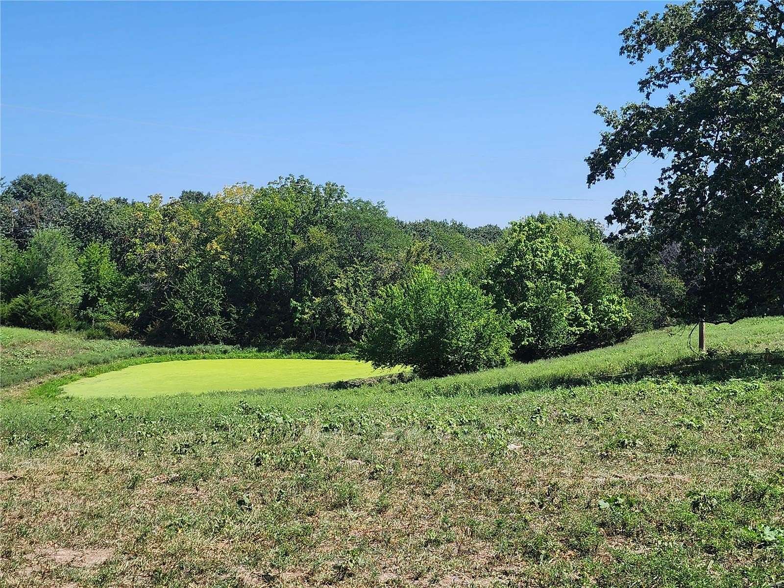 12 Acres of Land for Sale in Buckner, Missouri