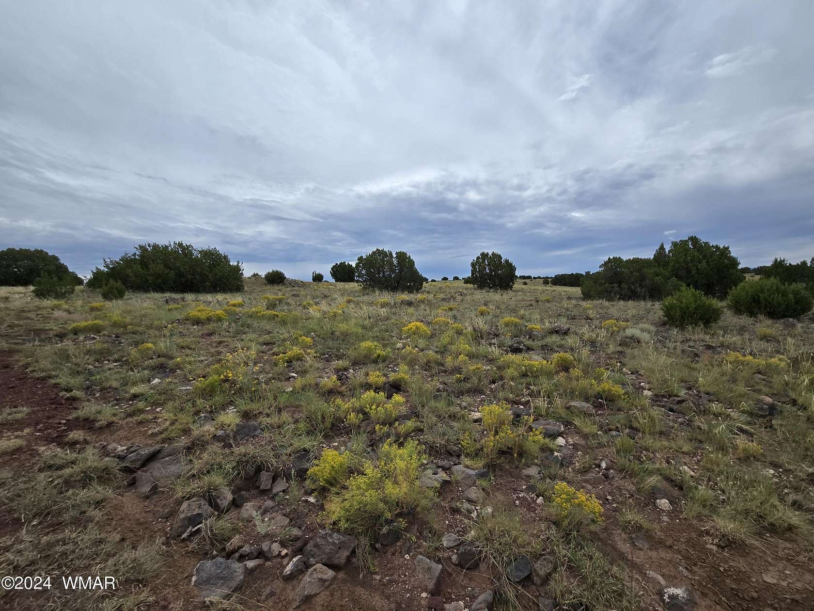 1 Acre of Residential Land for Sale in Concho, Arizona