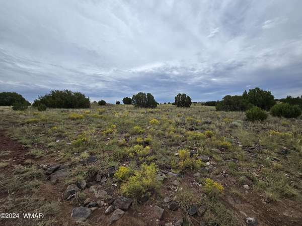 1 Acre of Residential Land for Sale in Concho, Arizona