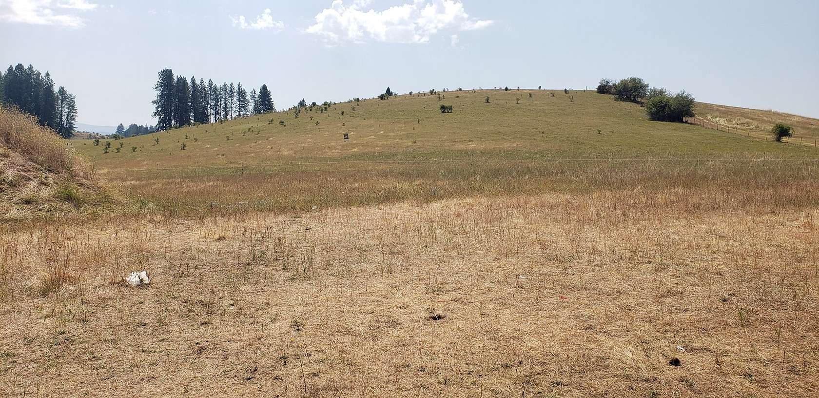 18.46 Acres of Recreational Land & Farm for Sale in Kooskia, Idaho