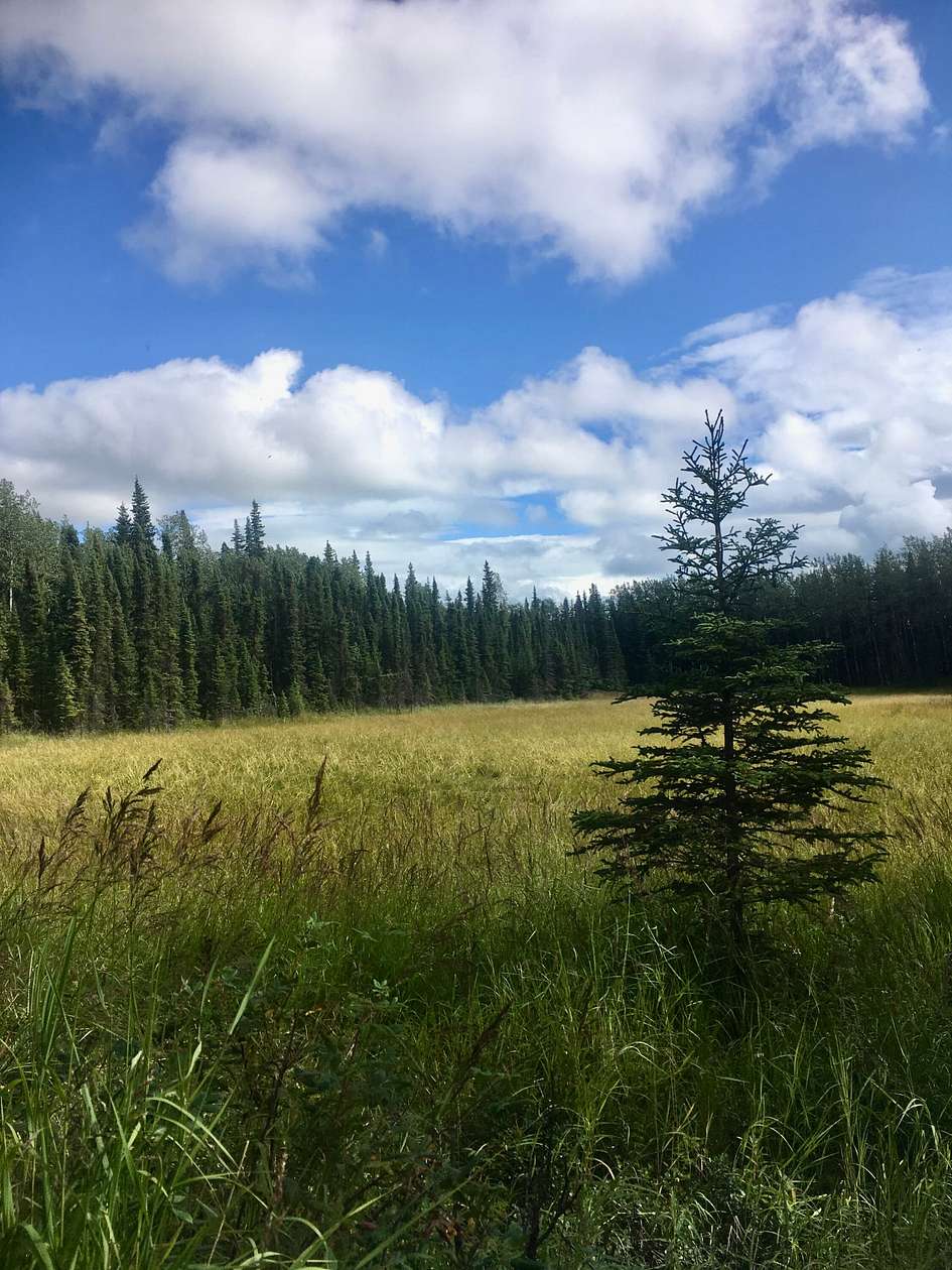 10 Acres of Recreational Land for Sale in Kasilof, Alaska