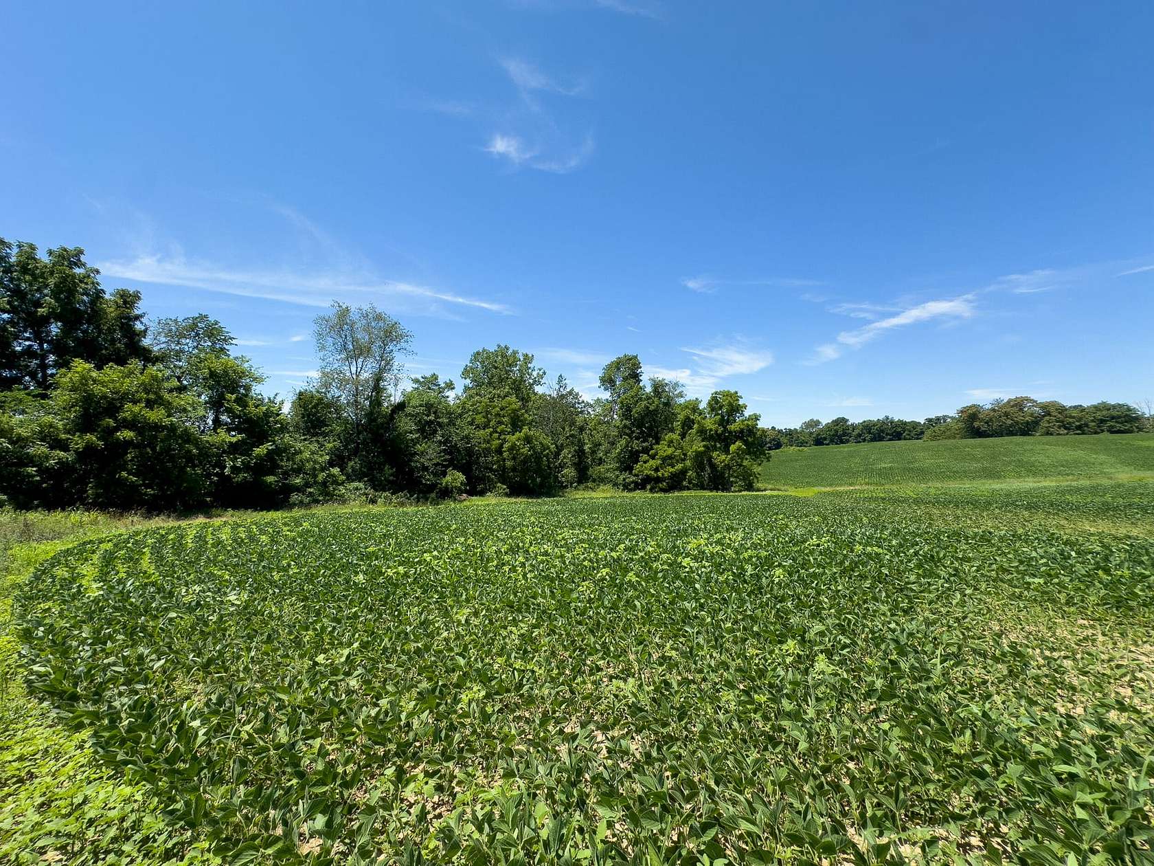 15 Acres of Recreational Land for Sale in Hopewell, Ohio