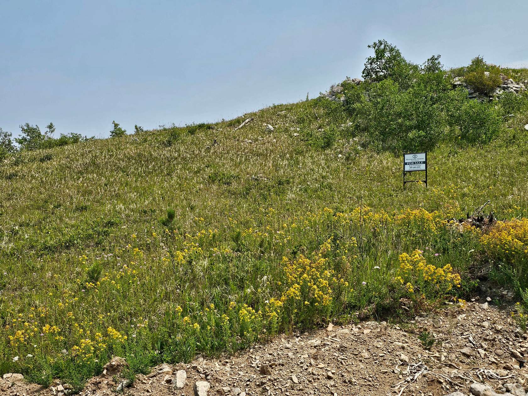 2 Acres of Residential Land for Sale in Sturgis, South Dakota