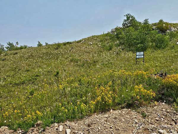 2 Acres of Residential Land for Sale in Sturgis, South Dakota