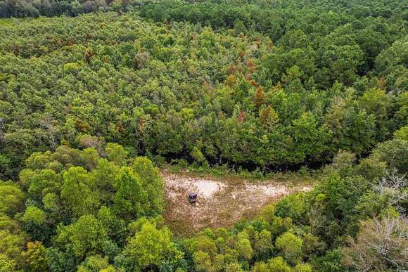 77.36 Acres of Recreational Land for Sale in Galivants Ferry, South Carolina