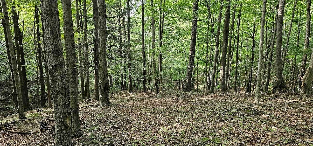 76.4 Acres of Recreational Land for Sale in Dryden, New York