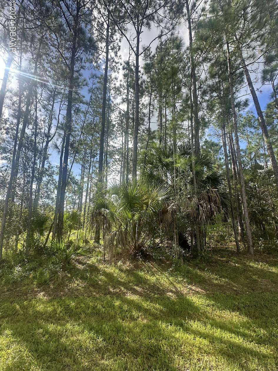 0.23 Acres of Residential Land for Sale in Palm Coast, Florida