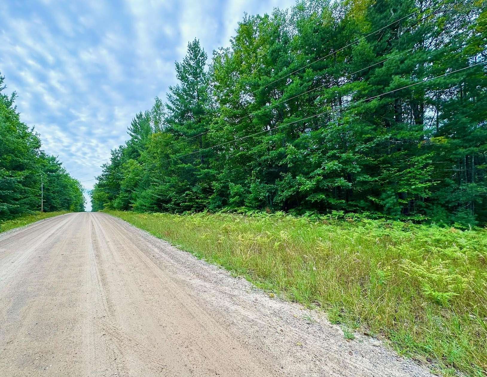 Residential Land for Sale in Wolverine, Michigan