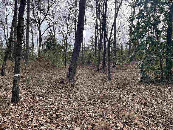 0.34 Acres of Residential Land for Sale in Columbia, South Carolina