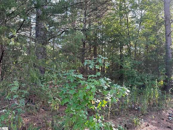 5 Acres of Land for Sale in Gray Court, South Carolina