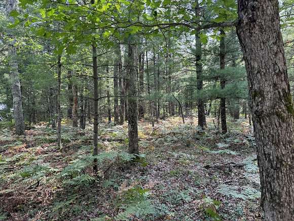 1.23 Acres of Residential Land for Sale in Luther, Michigan - LandSearch