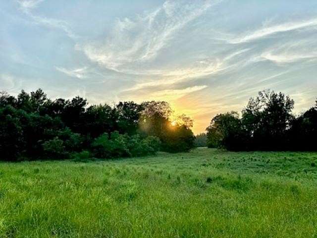 50 Acres of Land for Sale in Winnsboro, Texas