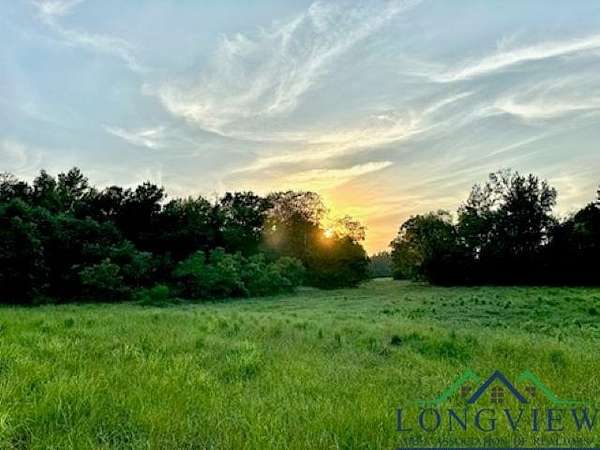 50 Acres of Recreational Land & Farm for Sale in Winnsboro, Texas