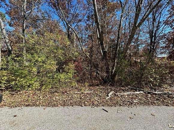 0.211 Acres of Residential Land for Sale in Hillsboro, Missouri