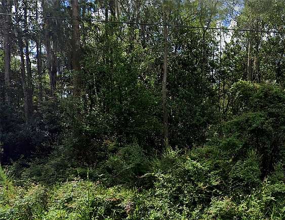 1 Acre of Residential Land for Sale in Wesley Chapel, Florida