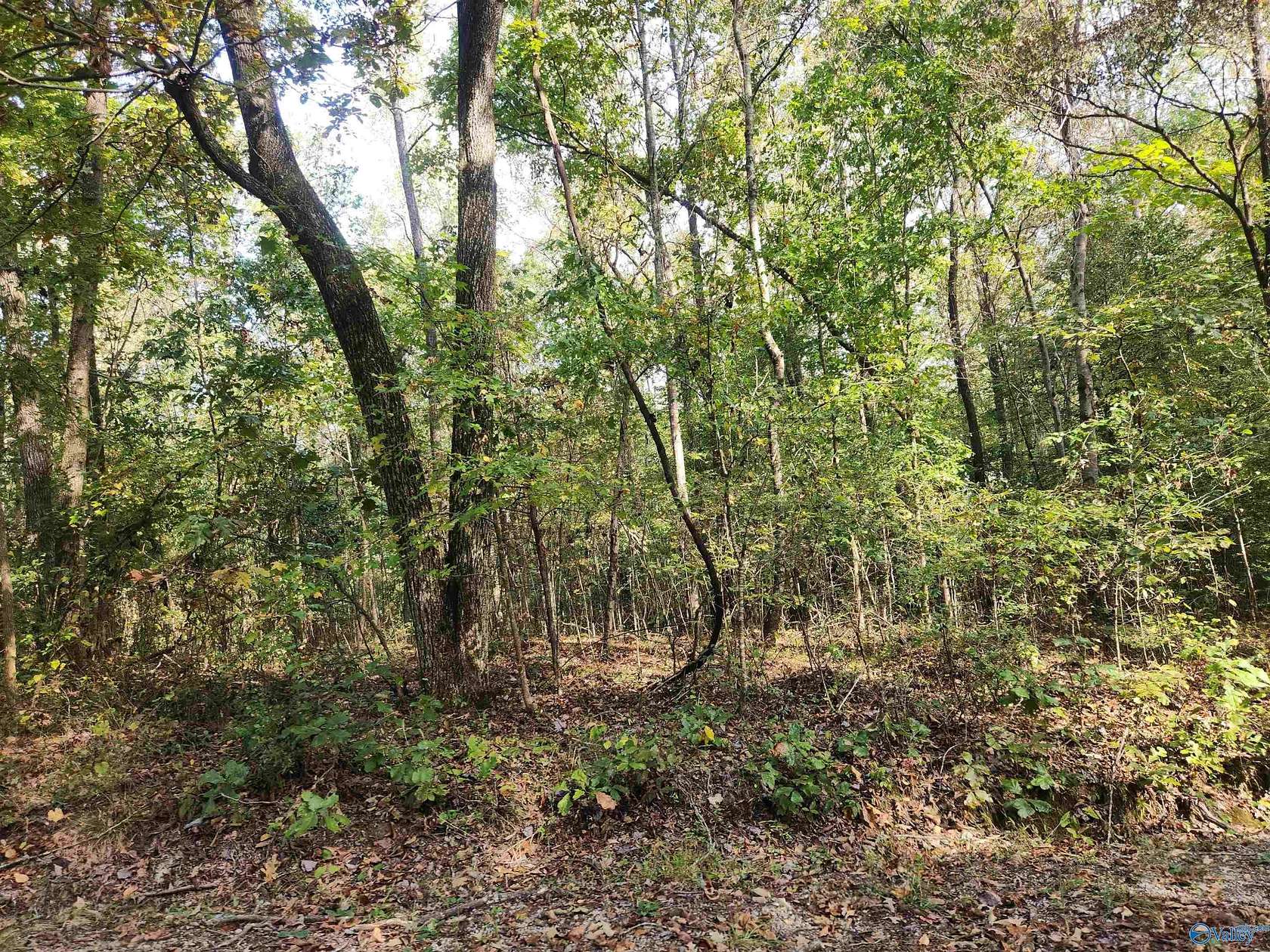 0.5 Acres of Land for Sale in Hamilton, Alabama