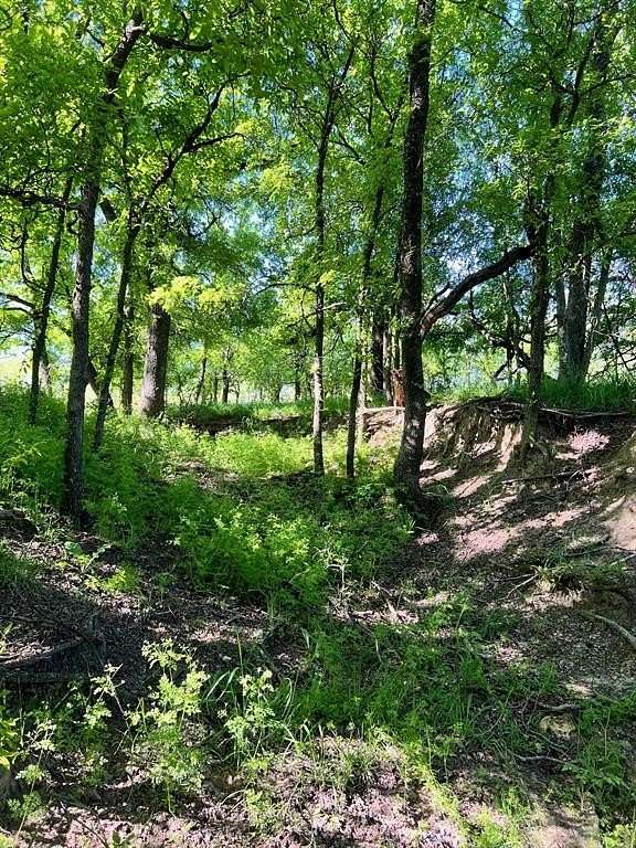 40.7 Acres of Agricultural Land for Sale in Comanche, Texas