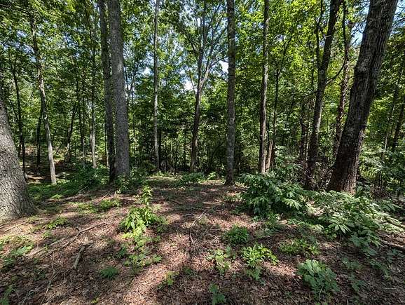 0.85 Acres of Land for Sale in Blue Ridge, Georgia