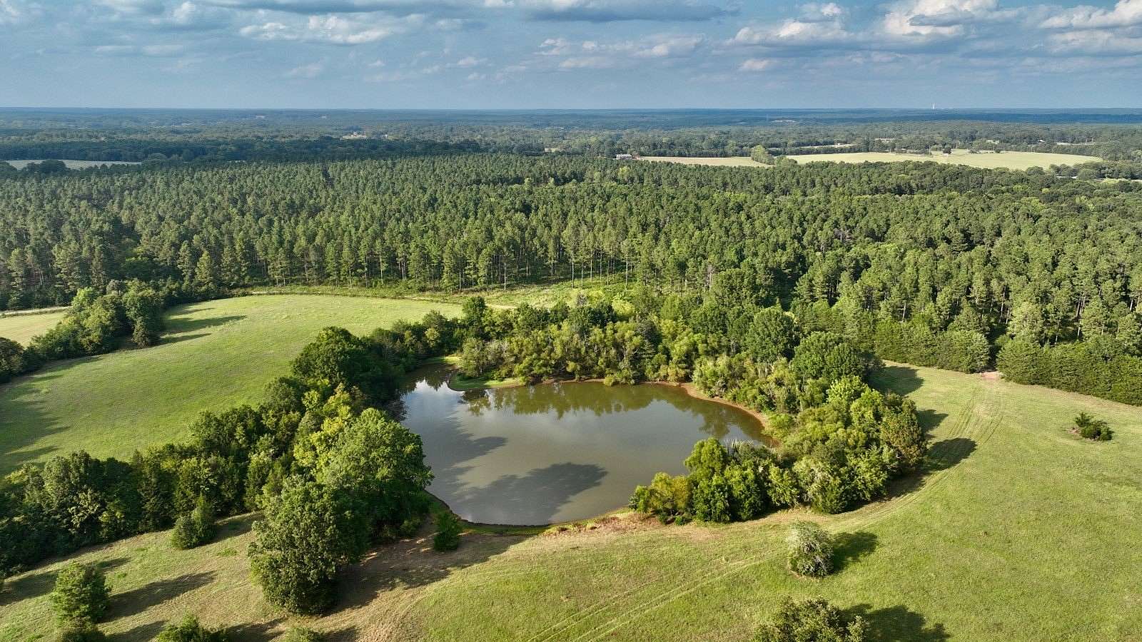 379.34 Acres of Recreational Land & Farm for Sale in Calhoun Falls, South Carolina