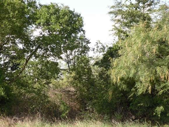 16.01 Acres of Land for Sale in Coolidge, Texas