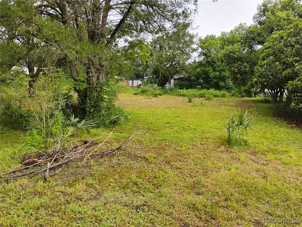 0.39 Acres of Residential Land for Sale in Dunnellon, Florida