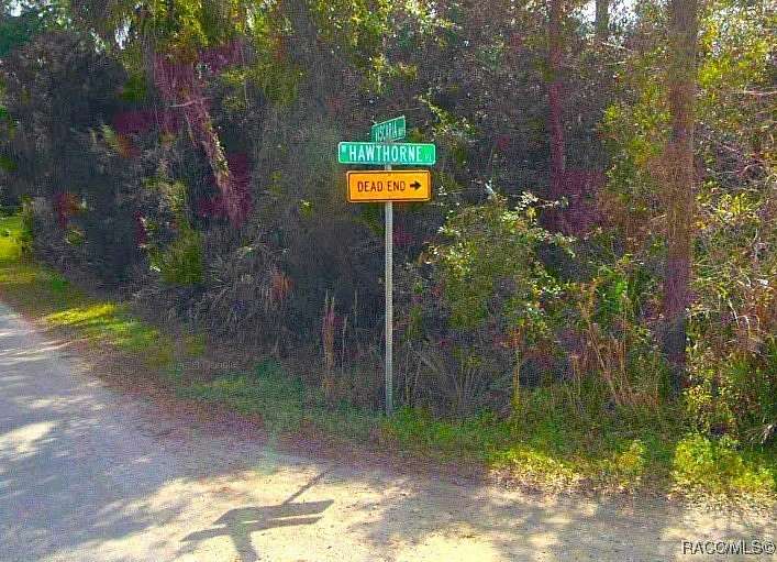 0.89 Acres of Residential Land for Sale in Homosassa, Florida